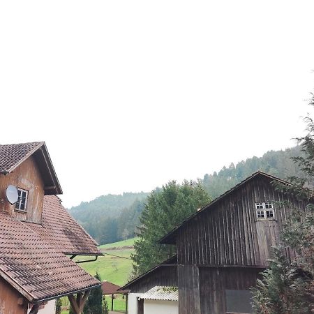 Geraeumige Wohnung Im Schwarzwald Seelbach  Exteriér fotografie