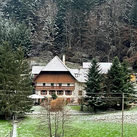 Geraeumige Wohnung Im Schwarzwald Seelbach  Exteriér fotografie
