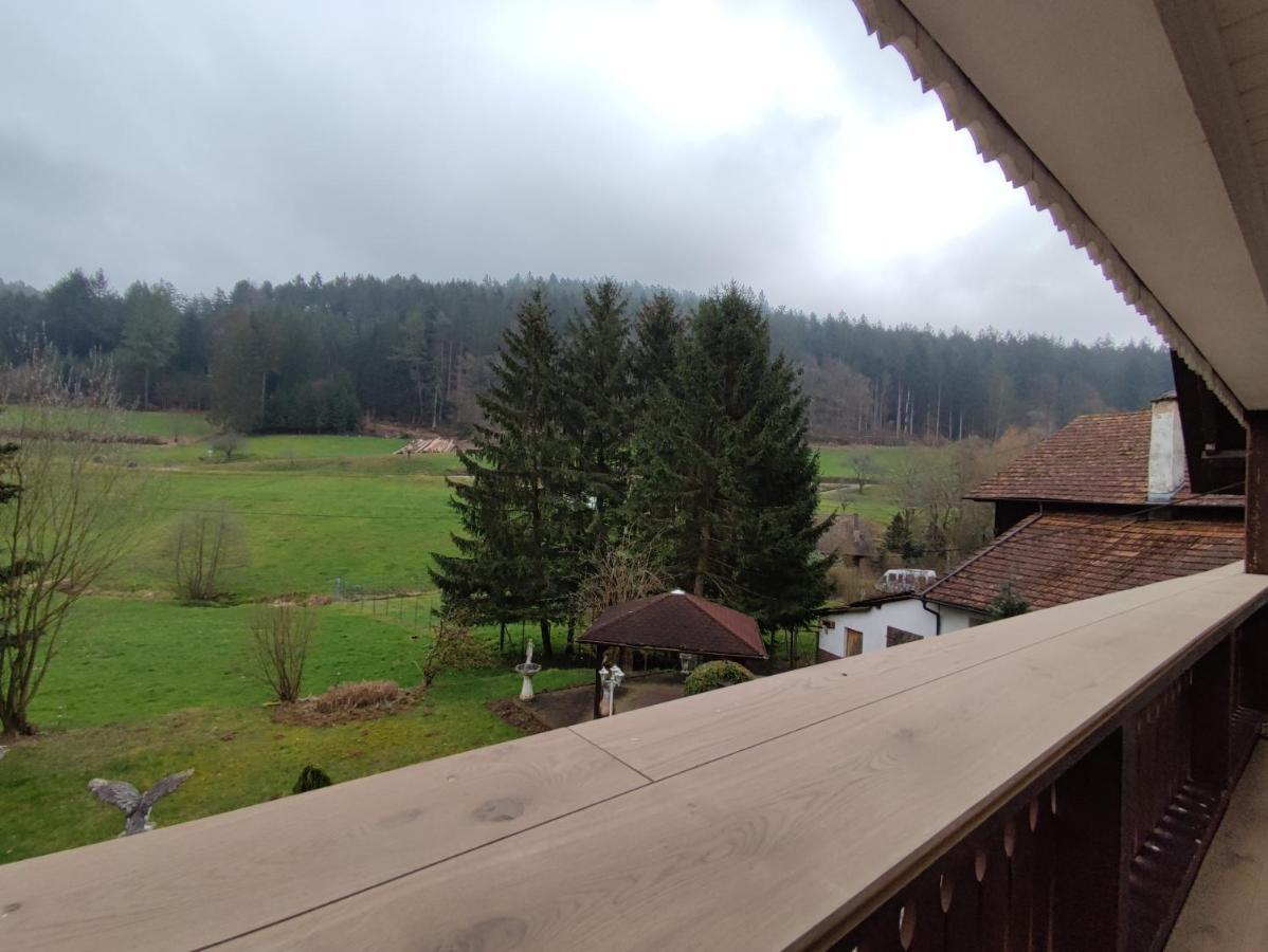 Geraeumige Wohnung Im Schwarzwald Seelbach  Exteriér fotografie