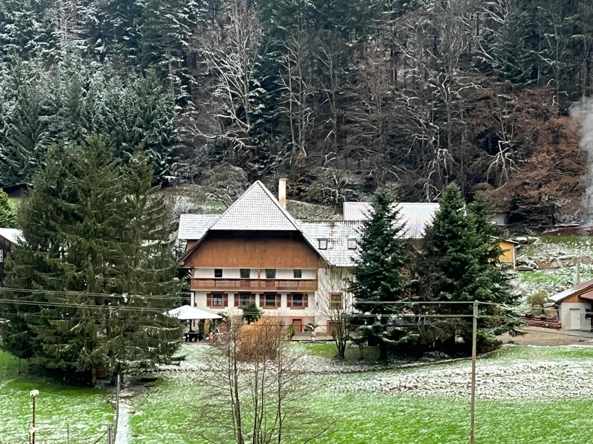 Geraeumige Wohnung Im Schwarzwald Seelbach  Exteriér fotografie